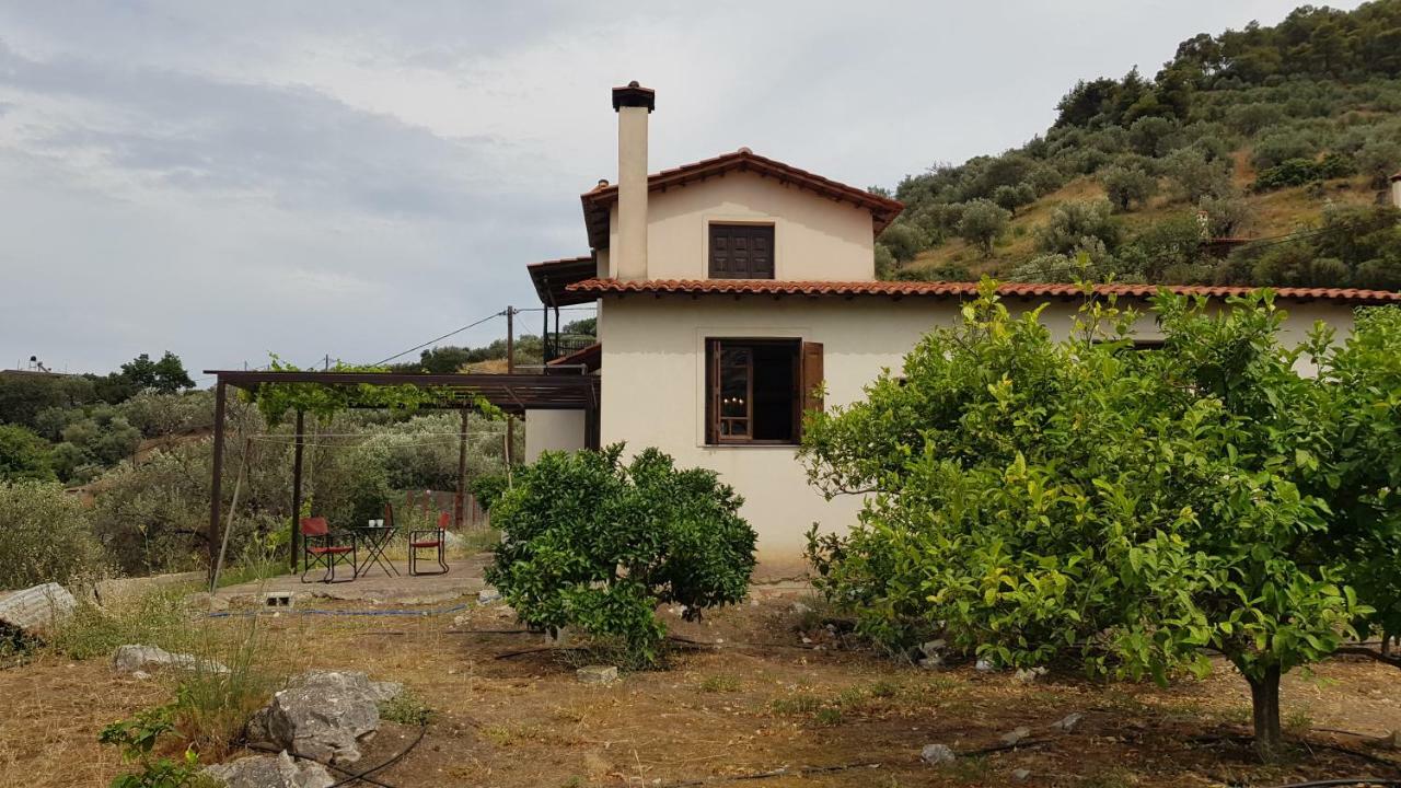 Ample Modern Country Home Nea Epidavros Exterior photo