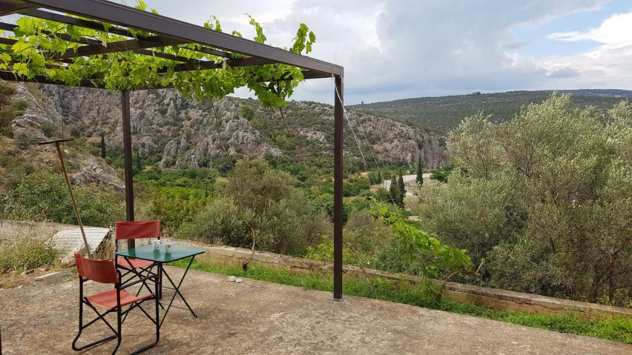 Ample Modern Country Home Nea Epidavros Exterior photo